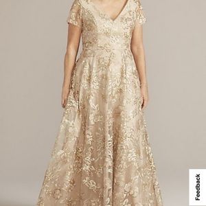 David’s Bridal Plus Size Embroidered A-line dress with illusion sleeves